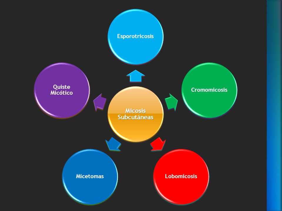 esporotricosis sinonimia esporotricosis sinonimia